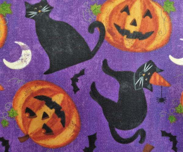 Festive Feelines - Pumpkins N Cats by Northcott 1/2yd Cuts