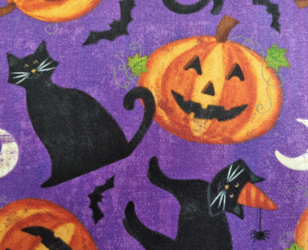 Festive Feelines - Pumpkins N Cats by Northcott 1/2yd Cuts