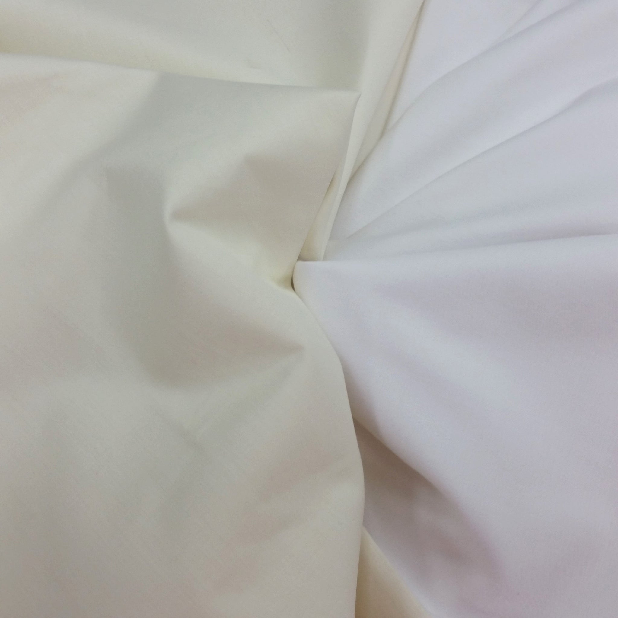 White OR Cream Solid Cotton Sateen